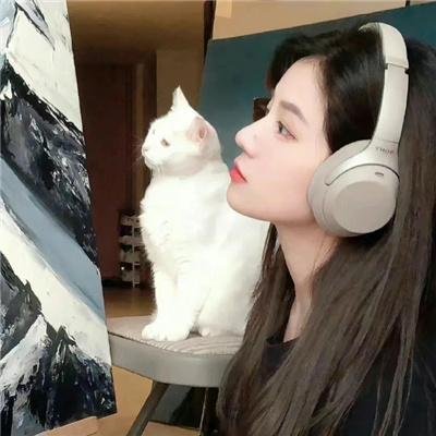 步步惊心之庶女王妃