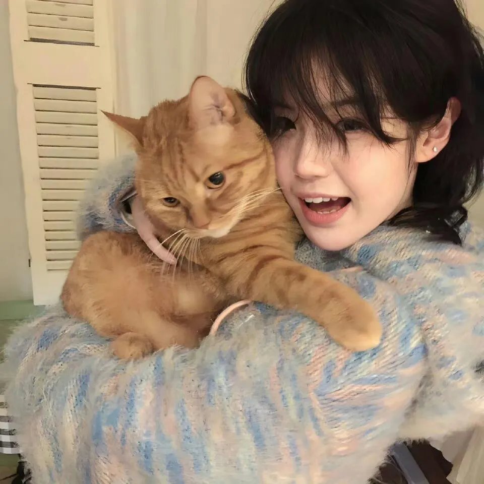 爱你不是两三天